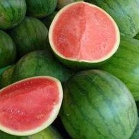 热门大瓜每日必吃大瓜合集,揭秘娱乐圈最新动态，一网打尽娱乐圈风云